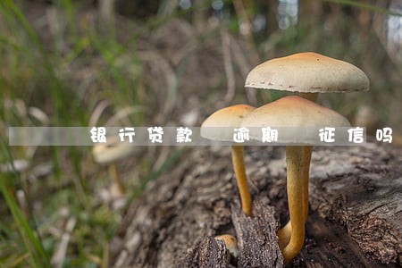 银行贷款 逾期 征信吗 银行贷款 逾期 征信吗